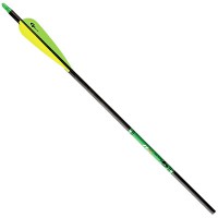 GOLD TIP XT HUNTER CARBON ARROW